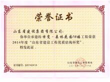 特变·森林花园1#楼省永盈会官网工程优质结构杯奖