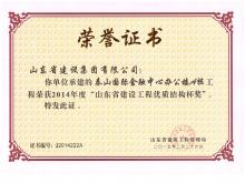 泰山国际A楼山东省永盈会官网工程优质结构杯