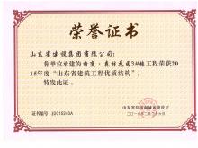 特变·森林花园3#楼获2015年度山东省永盈会官网工程优质结构